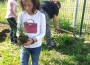 И малките ученици  от трети-Г клас в СУ,,Христо Ясенов“ засадиха своя цветна градина  