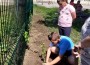 И малките ученици  от трети-Г клас в СУ,,Христо Ясенов“ засадиха своя цветна градина  