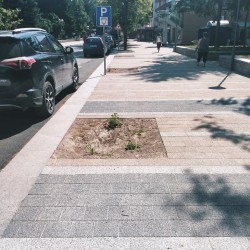 Иновативен метод за ограничаване на кореновата система ще бъде приложен при засаждането на дръвчета по бул. „България“