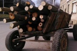 Две каруци с дърва без документи задържаха в Литаково