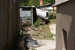 ЧАСТЕН СЛУЧАЙ ИЛИ…? 