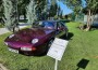 Луксозни ретро-автомобили от цяла Европа  в Правец
