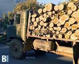 Двама етрополци са задържани с незаконно добита дървесина 