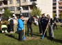 В ЕТРОПОЛЕ ЗАСАДИХА НАД 120 ДЪРВЕТА ПО ИНИЦИАТИВАТА „НАШЕТО ЗЕЛЕНО УТРЕ“ 