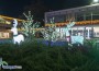 Ботевград засиява в празничната си премяна /снимки/