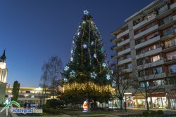 Община Ботевград благодари на дарителите, които помогнаха за една красива и споделена Коледа