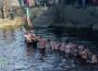 12 смелчаци се хвърлиха за кръста във водите на река Бебреш край Врачеш