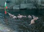 12 смелчаци се хвърлиха за кръста във водите на река Бебреш край Врачеш