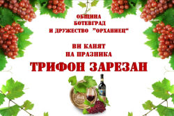 Община Ботевград ще отбележи празника Трифон Зарезан с ритуал по зарязване на лозята и традиционен курбан 