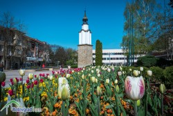 Ботевград е в челната петица на общините с най-висок износ на човек от населението