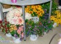 Има леко увеличение на цените на цветята спрямо 2021 г., според търговци