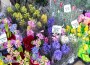 Има леко увеличение на цените на цветята спрямо 2021 г., според търговци