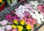 Има леко увеличение на цените на цветята спрямо 2021 г., според търговци