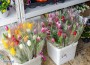 Има леко увеличение на цените на цветята спрямо 2021 г., според търговци