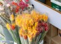 Има леко увеличение на цените на цветята спрямо 2021 г., според търговци