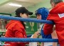 Ботевград е домакин на кръг от Държавния шампионат по бокс