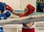 Ботевград е домакин на кръг от Държавния шампионат по бокс