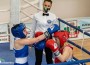 Ботевград е домакин на кръг от Държавния шампионат по бокс