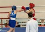 Ботевград е домакин на кръг от Държавния шампионат по бокс
