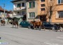 „Арестуваха“ безстопанствени коне