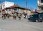 „Арестуваха“ безстопанствени коне