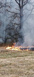 За броени дни - два горски пожара в Липница