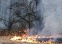 За броени дни - два горски пожара в Липница