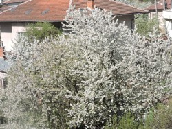 ВЕЛИКДЕНСКИ ФОТОРАЗМИСЛИ