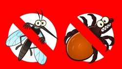 ТРЕВНИТЕ ПЛОЩИ В ЕТРОПОЛЕ  ЩЕ БЪДАТ ОБРАБОТЕНИ СРЕЩУ БЪЛХИ, КЪРЛЕЖИ И КОМАРИ