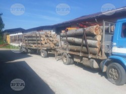 Спряна е дейността на обект за складиране, преработване и експедиране на дървесина в Етрополе