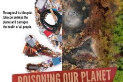 31 май - Световния ден без тютюн
