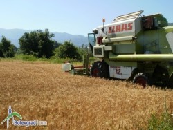 Създадена е организация за опазване на селскостопанската продукция от престъпни посегателства