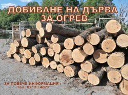 Жители на Правец, желаещи да добият дърва за огрев, подават заявления до 16 юни