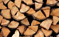 Земеделският министър забрани износа на дърва за три месеца