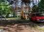 Премахнаха 14 изсъхнали смърча в градинката пред ДЯ „Здравец“