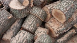 16 кубика немаркирани дърва за огрев в хода на специализираната операция в петък