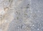 Сдружение подаде сигнал до Общината за лошото състояние на общинския път между Трудовец и Скравена