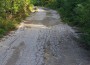 Сдружение подаде сигнал до Общината за лошото състояние на общинския път между Трудовец и Скравена
