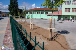 14 дръвчета са засадени в двора на ОУ „Н. Й. Вапцаров“ – начален етап