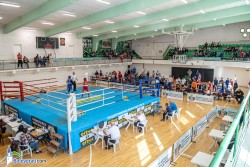 Ботевград е домакин на кръг от ДЛОП по бокс за ученици
