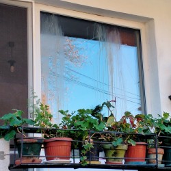 За живеещи на ул. “Любен Каравелов“ Хелуин е почти ежедневие  