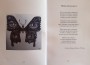 „Алманах. 110 години гимназиално образование“ популяризира творчеството на златаровци