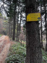 Табели с позитивни послания и указателни стрелки към връх Маняков камък