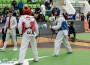 Ботевград е домакин на държавния шампионат по таекуондо WTF