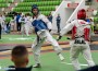 Ботевград е домакин на държавния шампионат по таекуондо WTF