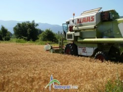 ОбС одобри новите наемни цени на земеделски земи, собственост на Община Ботевград 