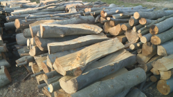 Откраднаха 3 кубика букови дърва от склад в Литаково