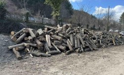 Девет акта за нарушения в горските територии на Ботевград, Ихтиман и Самоков
