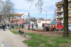 Засадиха жив плет и 18 широколистни дървета в градинката до ул. „Христо Ботев“ (нафтопункта)