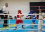 Страхотен интерес към Купата на България по бокс в Ботевград при най-малките